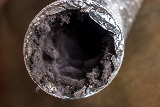 Best Commercial Air Duct Cleaning  in Elma, WA